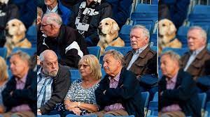 Maybe you would like to learn more about one of these? The Internet Loves This Dog Watching Scottish Junior Football Bbc Three
