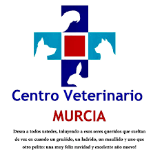 CENTRO VETERINARIO MURCIA