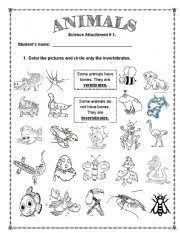 Animals Vertebrates And Invertebrates Vertebrates And Invertebrates Art Drawings Sketches Creative Geometric Animals