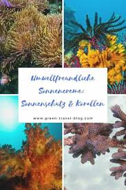 Marlicia penson, richard rivera, erick davis, rebecca taylor, hayoung min. Umweltfreundliche Sonnencreme Was Uv Schutz Mit Korallen Zu Tun Hat