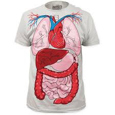Pin By Poptz Com On T Shirts T Shirt Costumes Anatomy Shirts Adulting Shirts