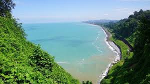 With many subtropical and foreign species, it extends just over 1 sq km over a hillside rising straight out of the sea, and takes about 1½ hours to walk the main path at a leisurely pace. Too Many Stray Dogs That Leave You Terrified Review Of Batumi Botanical Gardens Batumi Georgia Tripadvisor