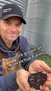 From Canola to Oil: A Healthy Process at Kowalchuk Farms