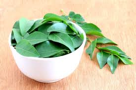Indian restaurant in kowloon, hong kong. Health Benefits Of Curry Leaves 5 Proven Benefits Of Eating Curry Leaves India Com