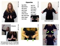 Font size 50% 75% 100% 125% 150% 175% 200% 300% 400%. Opposites Asl Sign Language Vocabulary Cards By Withourhands Tpt