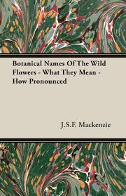 Used by florists primarily as a filler flower, alstroemeria can be found and naturally spreads in the wild. Botanical Names Of The Wild Flowers What They Mean How Pronounced Mackenzie J S F 9781406725070 Amazon Com Books