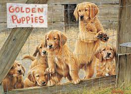 Use bizrate's latest online shopping features to compare prices. 500pc Golden Puppies Jigsaw Puzzle Cobble Hill Puzzle Company