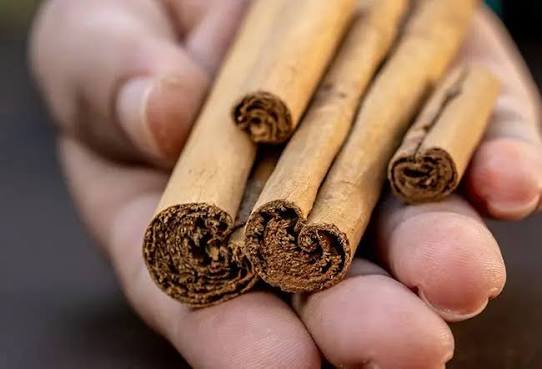 Saigon Cassia Bark Origin