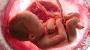 35 semanas e meia a 40 semanas de gravidez. Com Quantas Semanas De Gestacao O Bebe Tera Cabelo Unhas E Mais