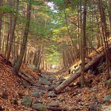 Pin On Where I Ve Been And What I Ve Done