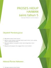 Check spelling or type a new query. Sains T5 Rantai Makanan