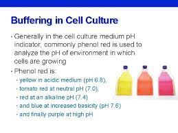 What are the macronutrients used in plant cell culture medium? Cell Culture What Is Cell Tissue Culture Tissue