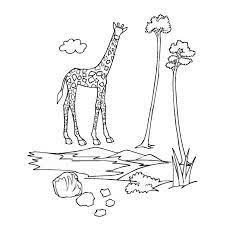 Dessin De Zoo Az Coloriage