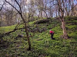 If you really need the extra sweetness, you can coat the mix with 2 t maple syrup, spread it out on a baking sheet and allow it to dry before bagging. Volunteer Faq What Does Trail Building Actually Involve Transcaucasian Trail