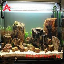 Batu Fosil Kayu Aquascape 1 Kg Lazada Indonesia