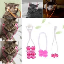 Pin On Cat Supplies