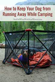 King canopy pup tent 10'x10' with gray tarp cover; How To Keep Your Dog From Running Away While Camping