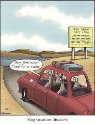 Slug Vacation Disasters Far Side Cartoons Funny Cartoons Cartoon Jokes