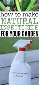 Pest control is a big industry in the u.s. How To Make Homemade Insecticide All Natural Pesticide Homemade Insecticide Insecticide For Plants Natural Pesticides