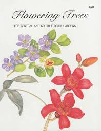 There is a range of cassia trees, and the bonus is that they attract three types of florida butterflies. Flowering Trees For Central And South Florida Gardens Von Maxine Fortune Schuetz Englisches Buch Bucher De