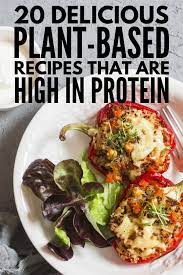 Plant Based Protein 20 High Protein Vegetarian Meals To Indulge In High Protein Vegetarian Recipes Vegetarian High Protein Vegetarian Recipes Easy