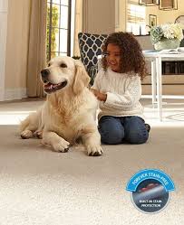 Bissell is a trusted brand when it comes to carpet cleaners. Home Decor Have Pets Want A Smart Carpet Solution Mohawk Has It There S A Sale Bark And Swagger Pet Friendly Carpets Carpets For Kids Pet Proof