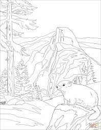 Free coloring pages printable to color kids drawing ideas. Pin On Coloring Books