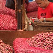Loker probolinggo memiliki desain yang simple dan ringan digunakan. Harga Bawang Merah Di Pasar Tradisional Lebih Mahal Dari Ayam Bisnis Liputan6 Com