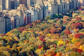 Although, if you seek out your spot early enough, you should be fine with securing a spot to watch. Vacation Rentals For Thanksgiving As A Family In New York New York Habitat Blog