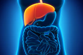 Caring for Your Liver | The Well Project