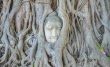 Véritable paradis sur terre, la thaïlande offre aux voyageurs des paysages magnifiques et très divers, entre mers et montagnes. When Is The Rainy Season In Thailand And Should You Avoid It