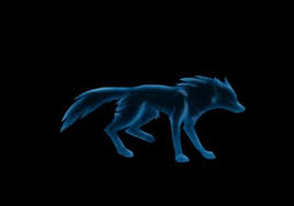 Blue Wolf Other Animals Background Wallpapers On Desktop Nexus Image 245992 We present you our collection of desktop wallpaper theme: background wallpapers on desktop nexus