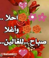 pin by amina maamri on beauty good morning greetings good morning arabic good morning beautiful images