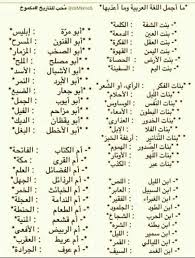 Pin By نوران ايمن On لغتنا العربية Learn Arabic Language Learning Arabic Arabic Language