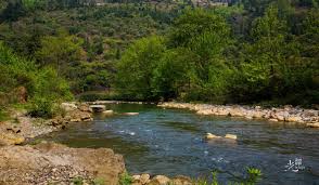 新消息 韶光 毕节百里杜鹃图记 毕节旅游攻略 马蜂窝 outdoor canal water