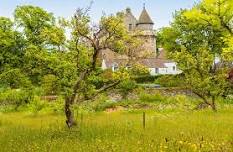 A Royal Teddy Bears Picnic at Falkland Palace