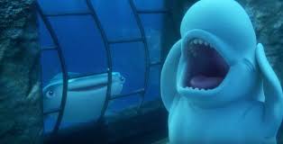 He is a beluga whale that dory befriends in the marine life institute. Twitter Finding Dory Finding Dory Bailey Finding Nemo