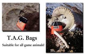 We did not find results for: T A G Bags Pristine Ventures