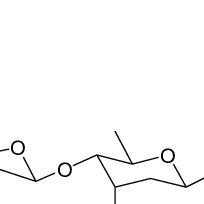 Image result for Cordia goetzei