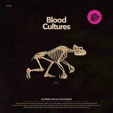 We did not find results for: Blood Cultures Flowers For All Occasions Lyrics Genius Lyrics
