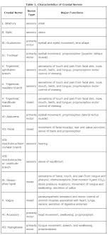 Cranial Nerves