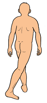 すぐに使える！リハビリのイラスト集