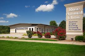 Get directions, reviews and information for sassy tails dog grooming in bentonville, ar. Veterinarian In Bentonville Ar Vet Care Contact Our Animal Hospital