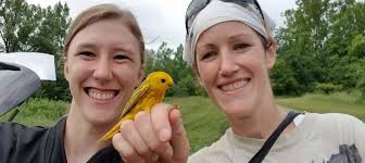 Blackbirds heed warbler warnings about cowbird danger