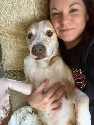 Corinne's Pet-Sitting