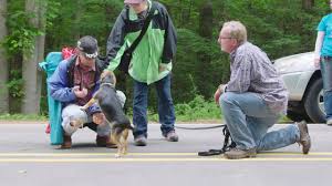 Private in home dog training classes throughout colorado with guaranteed results.puppy training, obedience training, problem behavior modification, & protection training. Home Dog Training Camp Usa