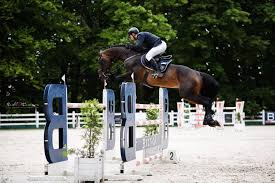 Rimau ritzberger grillo, valentina romani, leonardo pazzagli. Wojciech Wojcianiec Naccord Melloni Top 101 800 Gold Tour Speed Challenge Csi 2 Jumper News