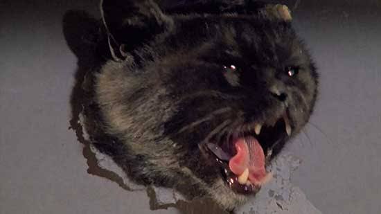 Film Review: Two Evil Eyes (1990) | HNN