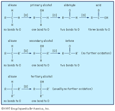 carboxylic acid structure properties formula uses