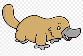 Impressive outstanding platypus coloring page print pages animal. Platypus Clip Art Cartoon Duck Billed Platypus Hd Png Download 830x486 1382420 Pngfind